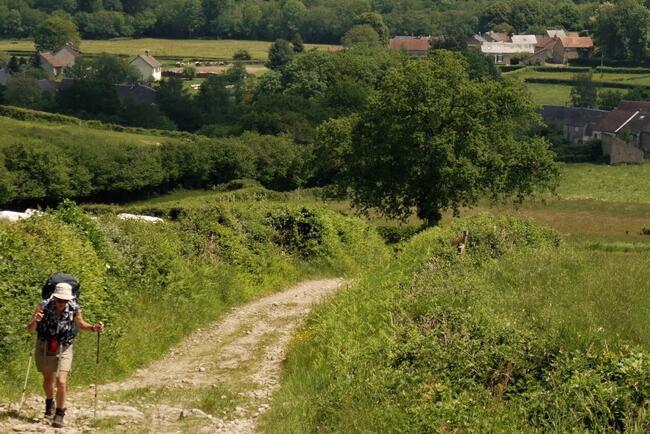 Onderweg in het regionaal park de Morvan 